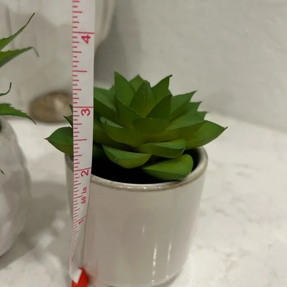 Set of Two Green Succulents in White Pots - Picture 4 of 4